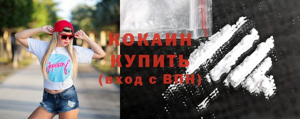 ешки Белокуриха