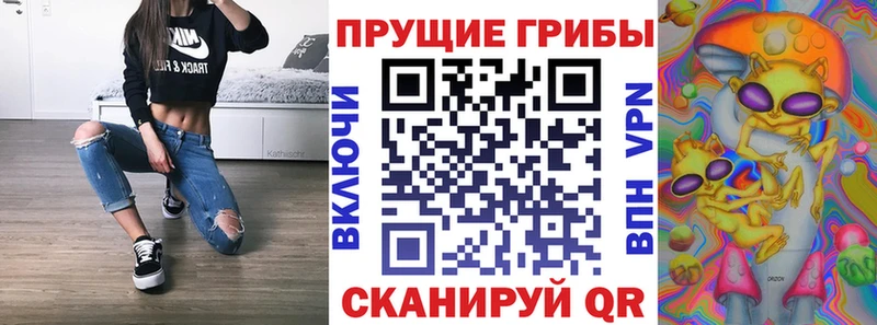 мега зеркало  Берёзовка  Псилоцибиновые грибы Psilocybine cubensis 